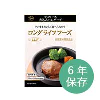 ロングライフフーズ デミソース煮込みハンバーグ
